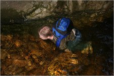 Thumbnail of photo from this article